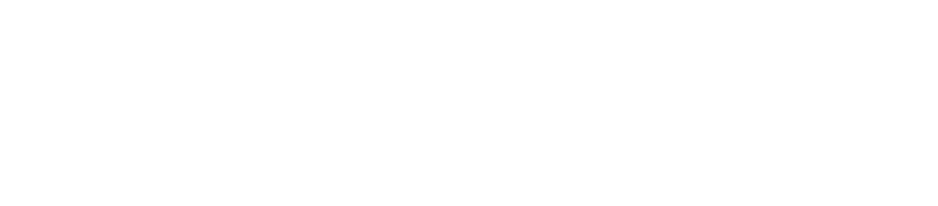 2015.04/04-05
第1戦　岡山国際サーキット
OKAYAMA GT 300km RACE