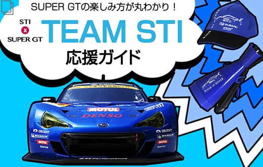 TEAM STI 応援ガイド