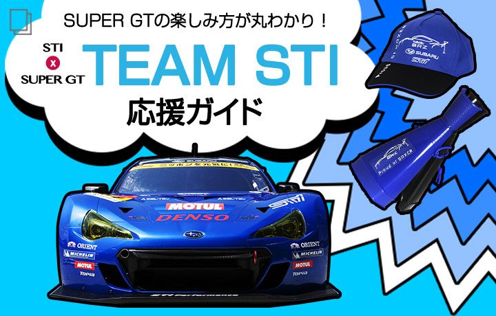 TEAM STI応援ガイド