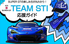 TEAM STI応援ガイド