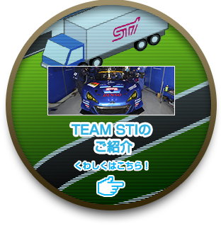 TEAM STIのご紹介