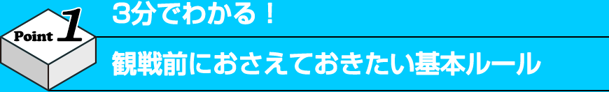 Point1 3分でわかる！ 観戦前におさえておきたい基本ルール