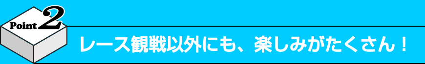 Point2 レース観戦以外にも、楽しみがたくさん！ 